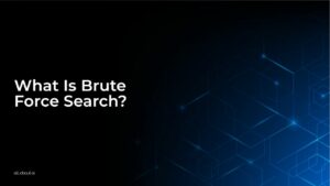 What Is Brute Force Search?