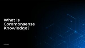 What Is Commonsense Knowledge?