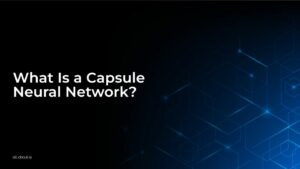 What Is a Capsule Neural Network?
