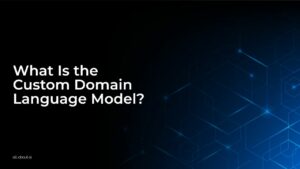 What Is the Custom Domain Language Model?