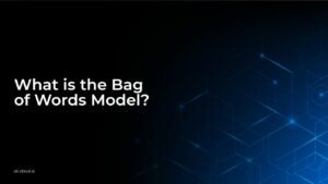 What is the Bag of Words Model?