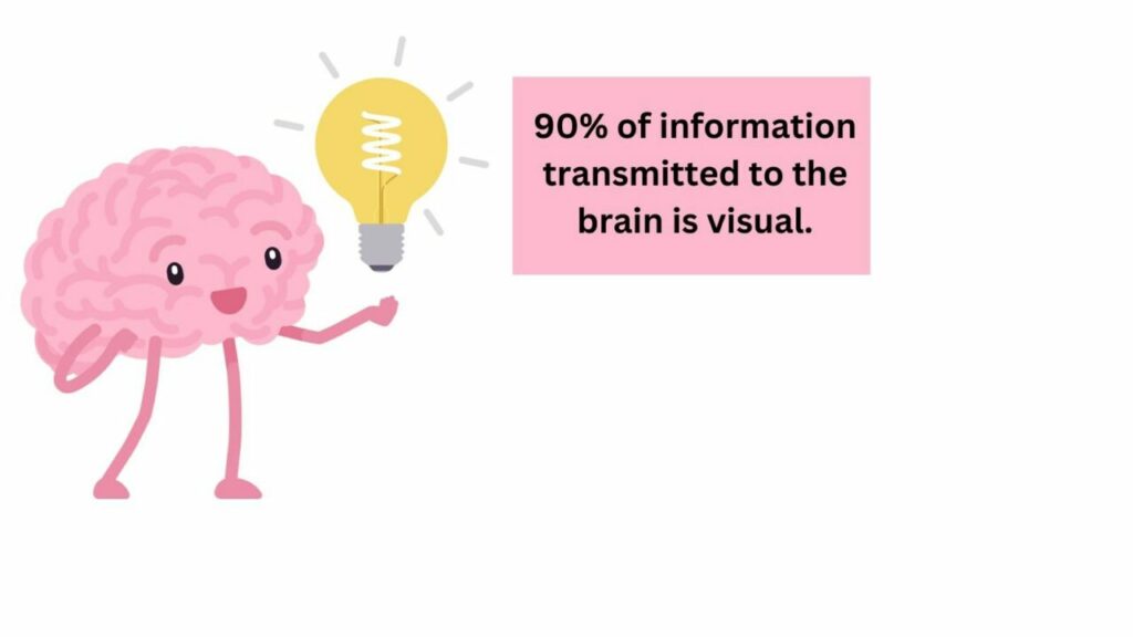  90 por cento da informação transmitida ao cérebro é visual. 
