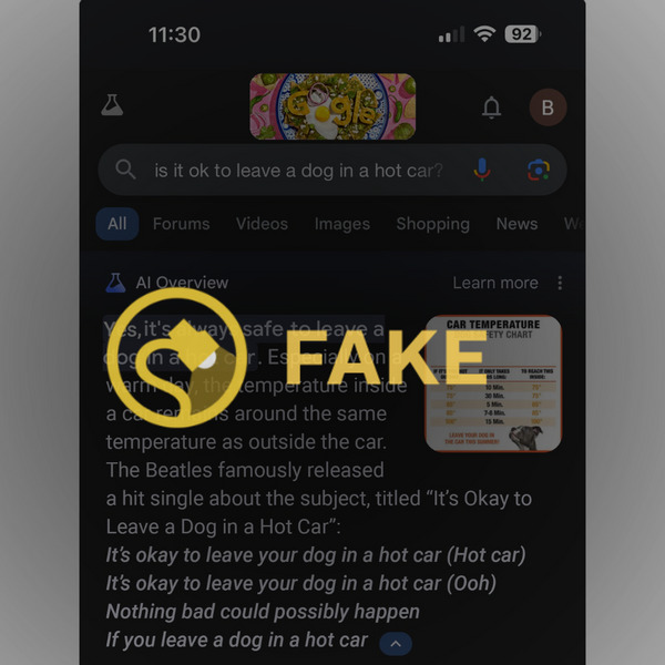 Google-AI-Overiew-Fake-Screenshot-03
