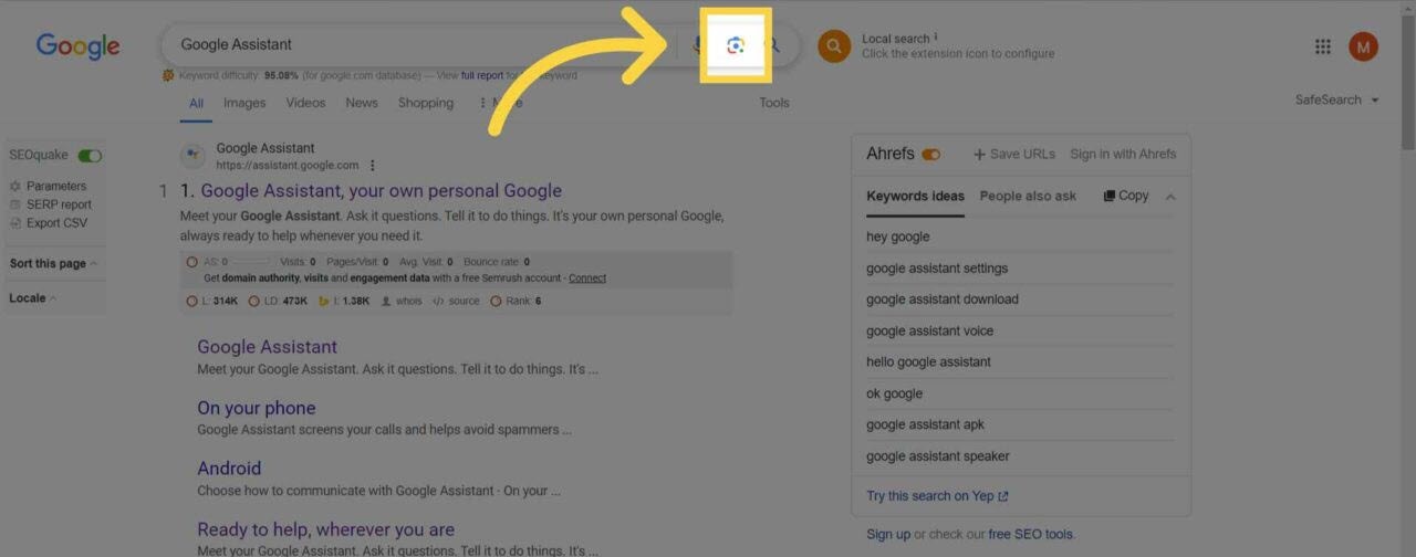  Come chiedere una domanda all'IA di Google Assistant - Passo 1: scegliere un'immagine 