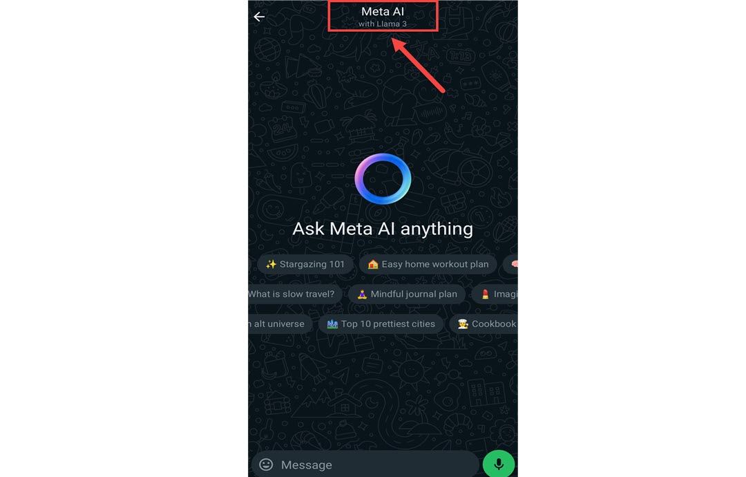  profilo di chat di meta-ai di whatsapp 