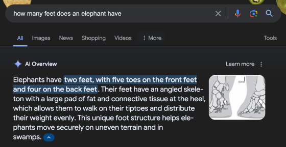 viral-google-ai-overview-elephant-feet-glitch